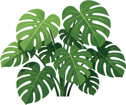 The monstera leaves cut out on their own transparent layer